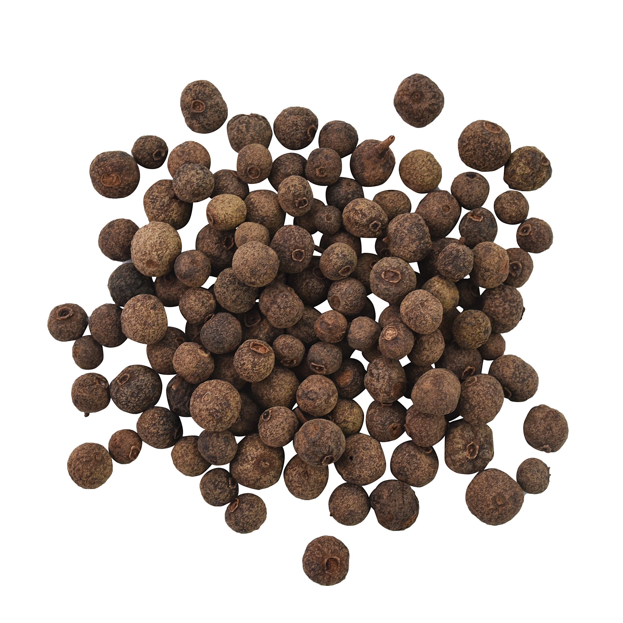 Allspice Berries Whole - Sheffield Spice & Tea Co