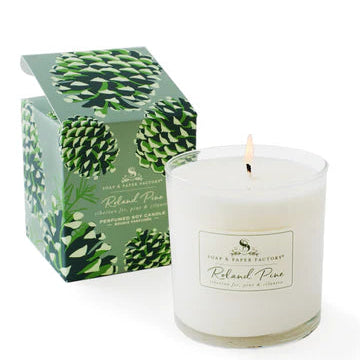 White candle with a pine cone design box on a white background