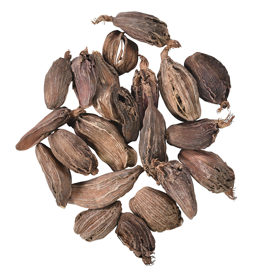 Black Cardamom Pods - Sullivan Street Tea & Spice Company