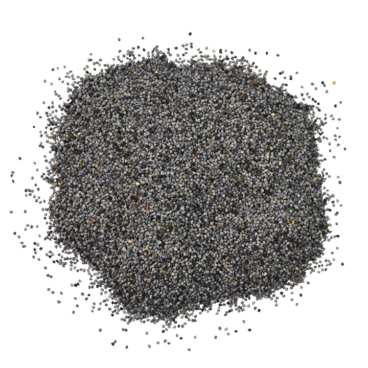 Poppy Seed - Sullivan Street Tea & Spice Company